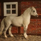Mojö Welsh Pony