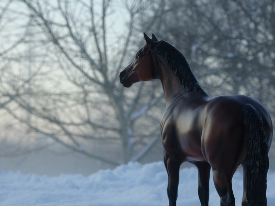 Realistic Pictures - Pferd im Schnee