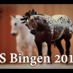 Modellpferde Liveshow Bingen 2019 ||  Impressionen