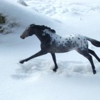 Abby im Schnee~